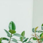 services hero bg 1 1024x475 1