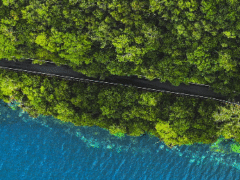 全生命周期积分服务平台,驱动移动生态的价值增长 qq20251029 140612