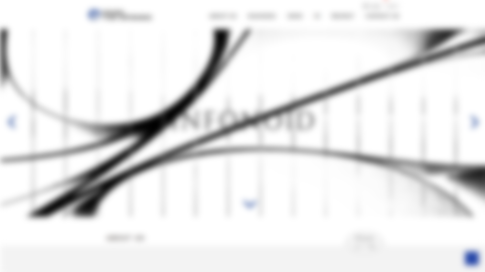 双语官方网站上线,助力企业数字形象全面升级 image mkhome